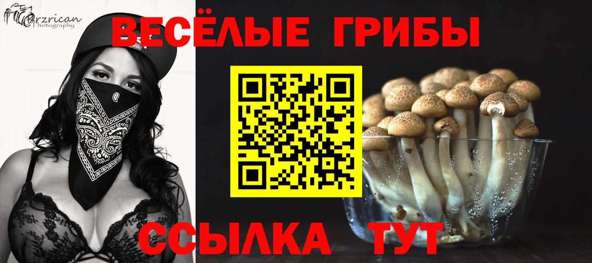 Псилоцибиновые грибы мухоморы Шелехов